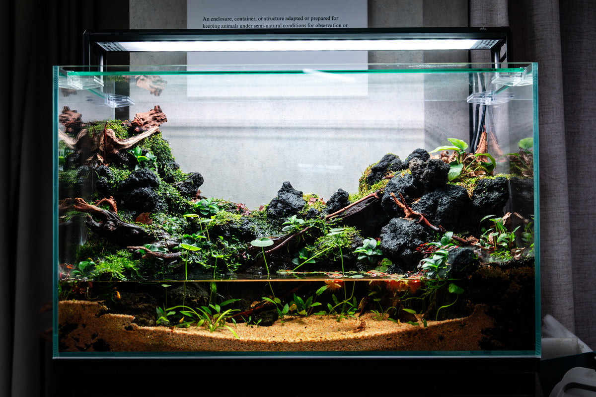 CCS Riverbank - Crab Paludarium Workshop