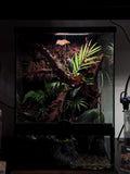 CCS Canopy - Tree Frog Workshop