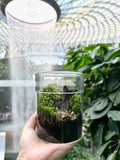 CCS Nature Terrarium Workshop