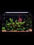 CCS Stream Signature - Nano Fish Habitat