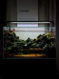 CCS Riverbank Signature paludarium