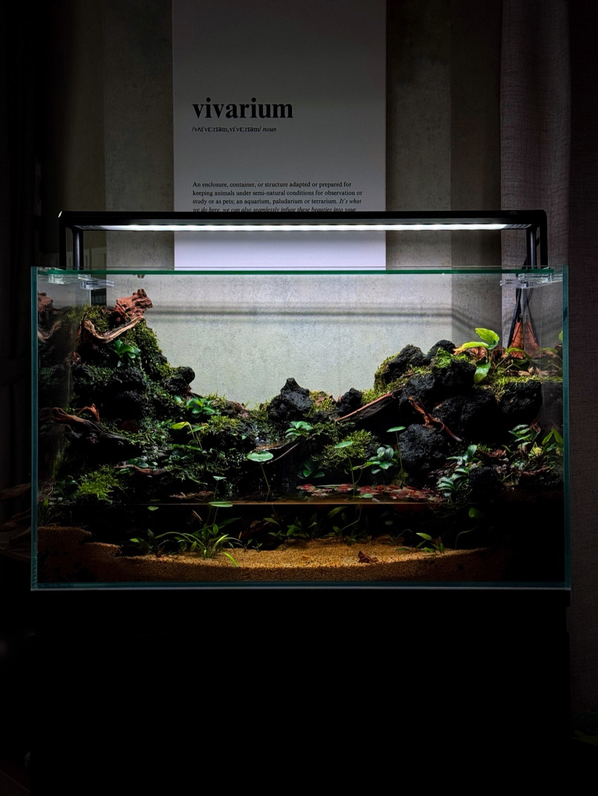 CCS Riverbank Signature paludarium