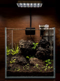 Shrimp Nano Aquascape workshop build — Chai Chee Safari