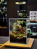 Standard Nature Terrarium workshop build — Chai Chee Safari